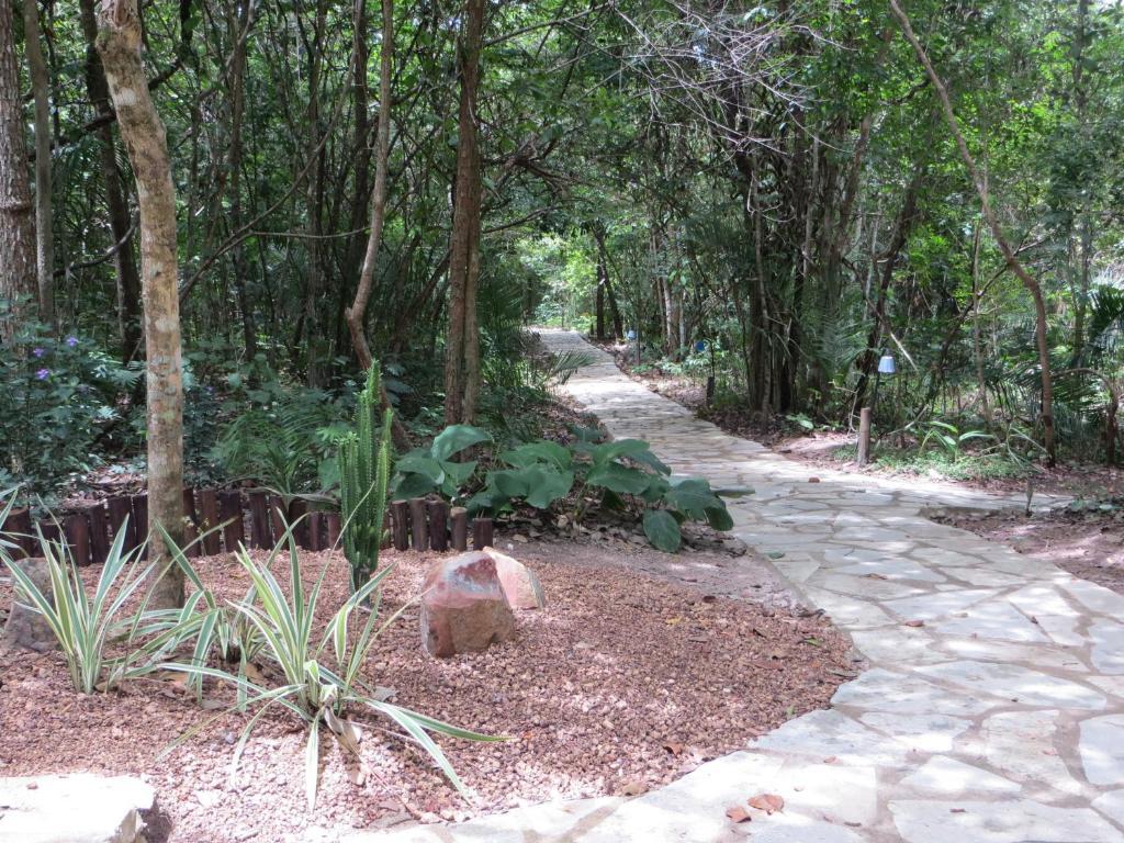 Pousada Eden - Conforto, Imersao E Natureza São Jorge Eksteriør bilde